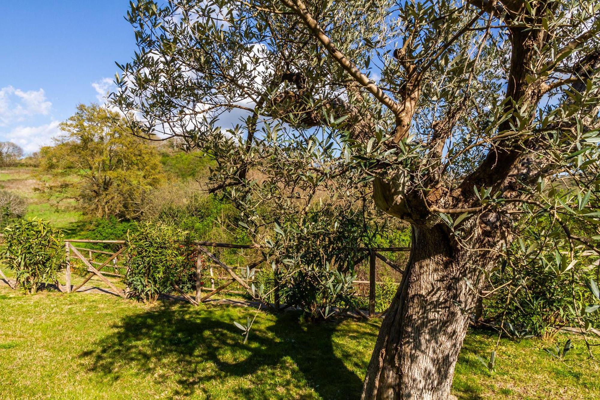 Home With A View In Scansano, Tuscany מראה חיצוני תמונה
